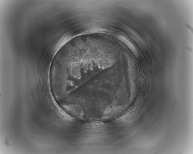 X0000096421055200802071658