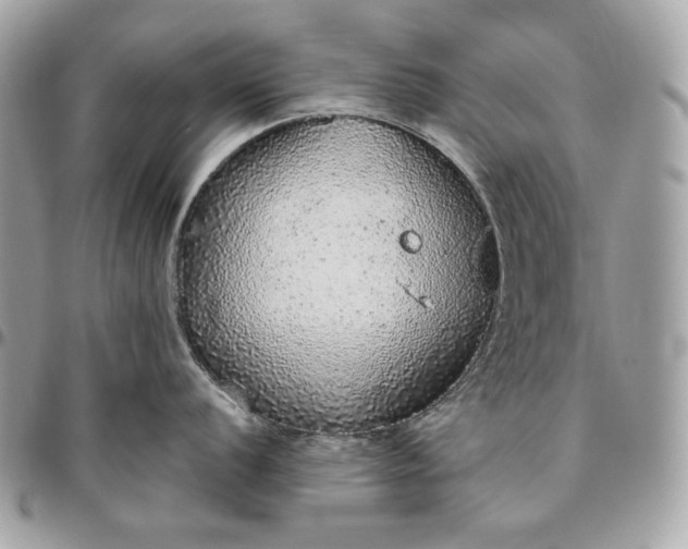 X0000096421056200802071658