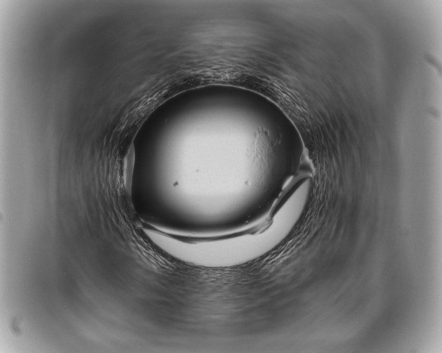 X0000096421058200802071657