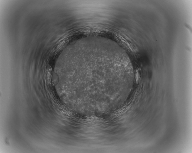 X0000096421059200802071657