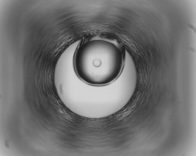 X0000096421060200802071657