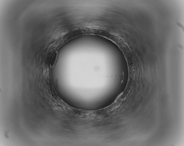 X0000096421061200802071657