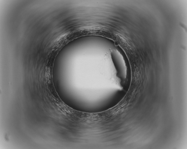 X0000096421062200802071657