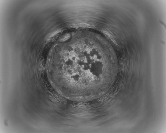 X0000096421063200802071657