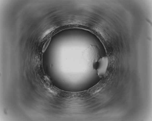 X0000096421064200802071657