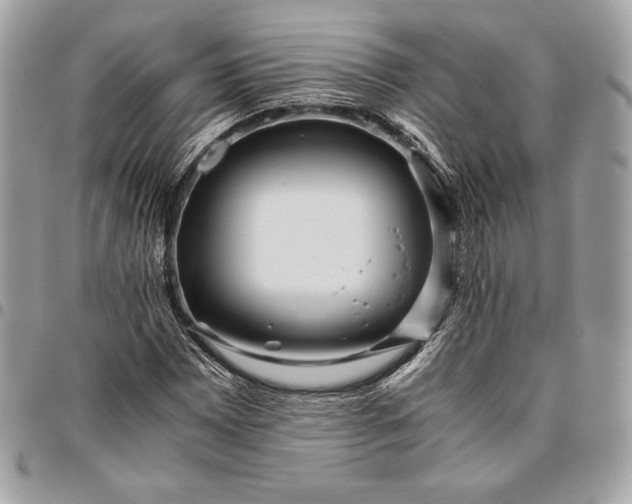 X0000096421065200802071657