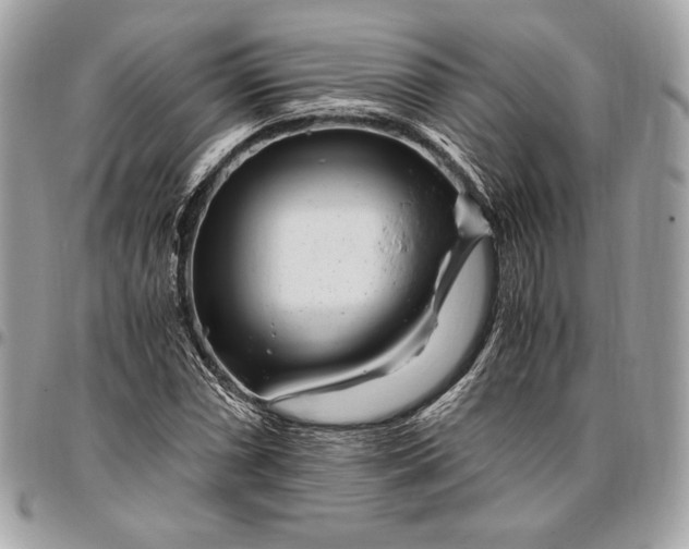 X0000096421066200802071657