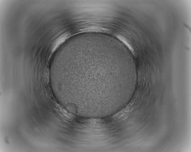 X0000096421067200802071657