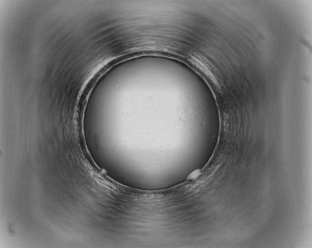 X0000096421068200802071657