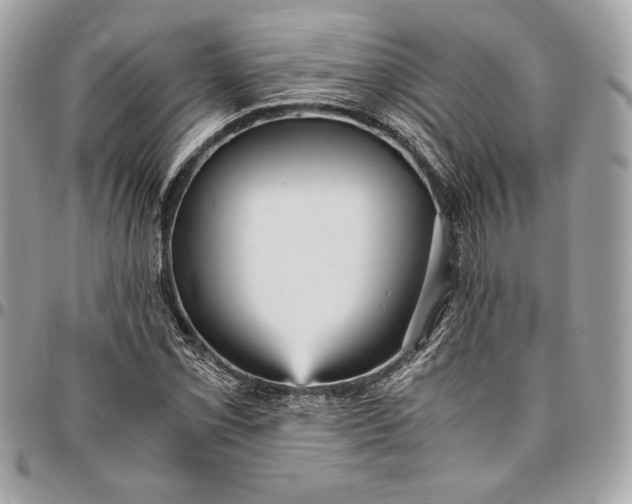 X0000096421069200802071657