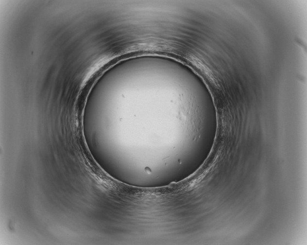 X0000096421070200802071657