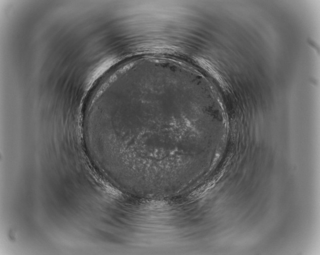 X0000096421071200802071657