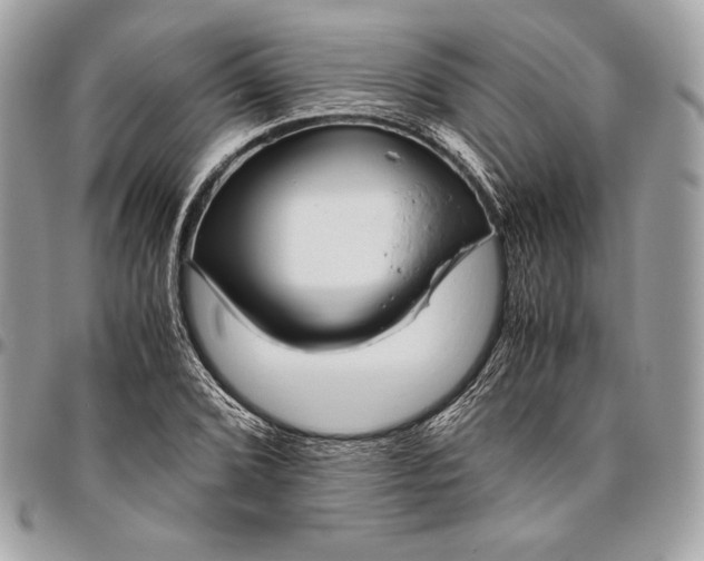 X0000096421072200802071657