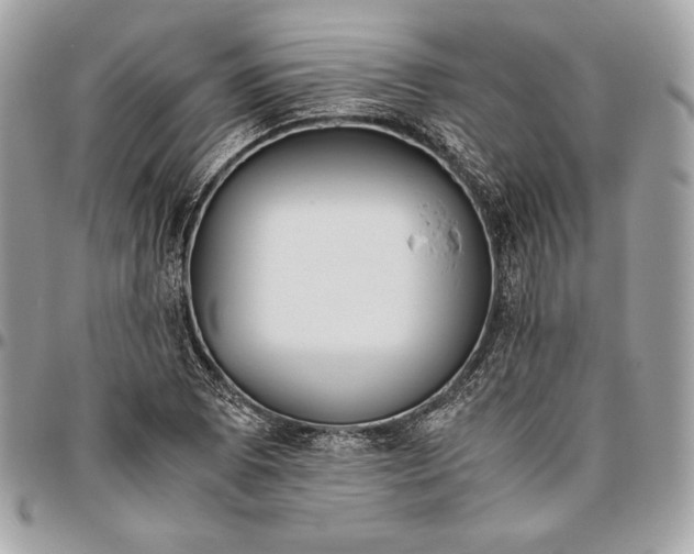 X0000096421073200802071657