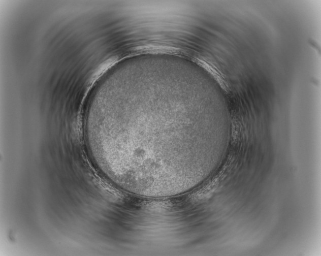 X0000096421074200802071657