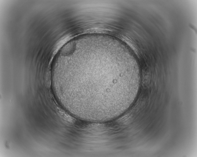 X0000096421075200802071657