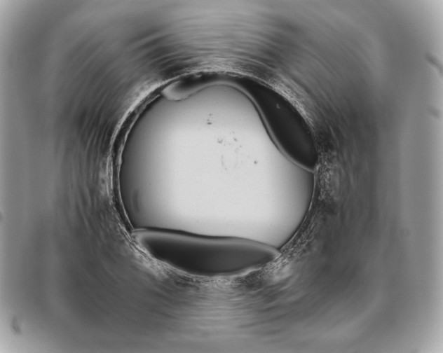 X0000096421076200802071657