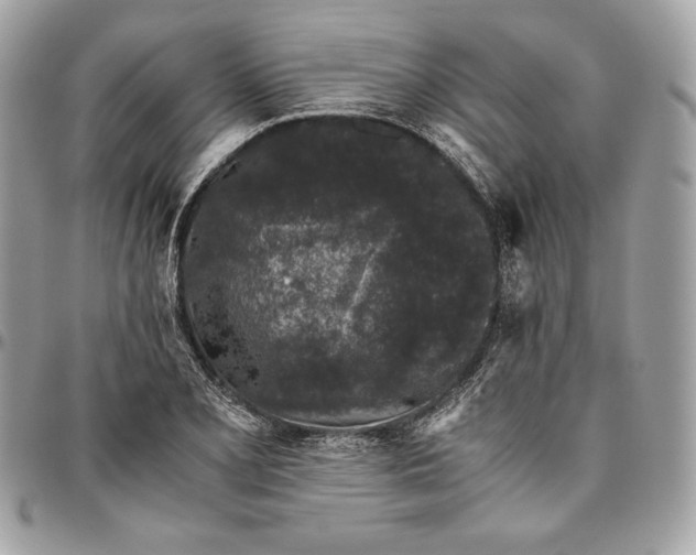 X0000096421077200802071657