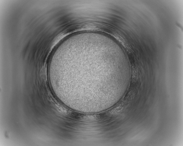 X0000096421078200802071657