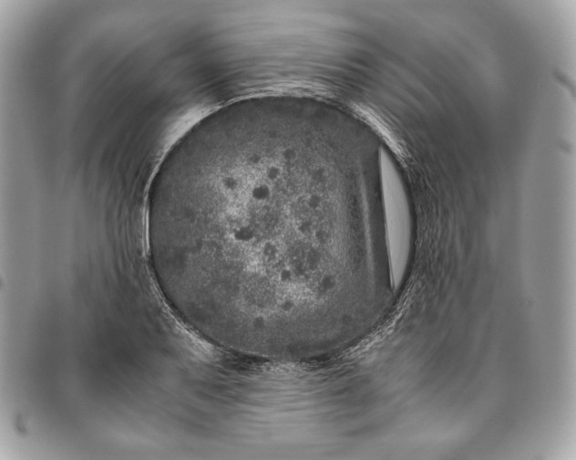 X0000096421079200802071657