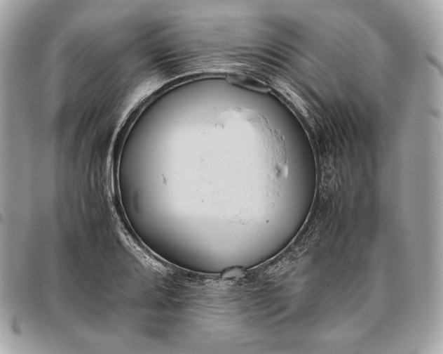 X0000096421080200802071657