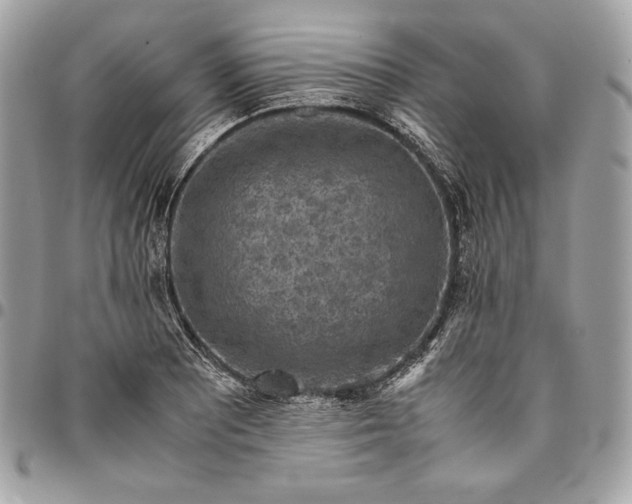 X0000096421081200802071657