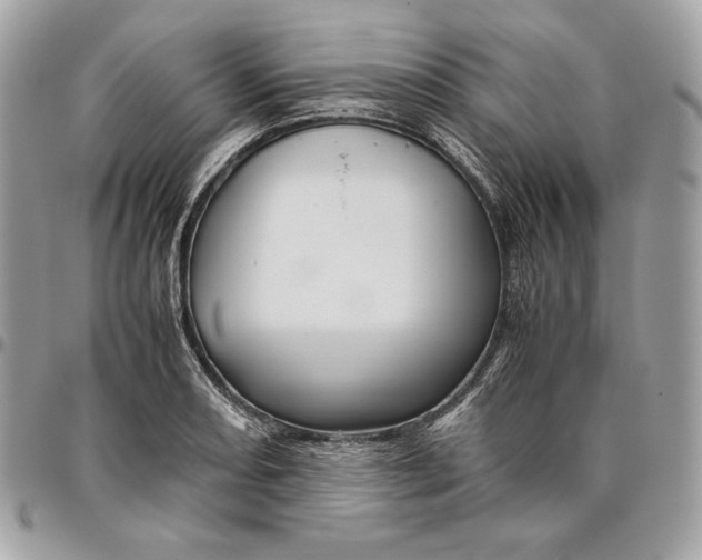 X0000096421082200802071657