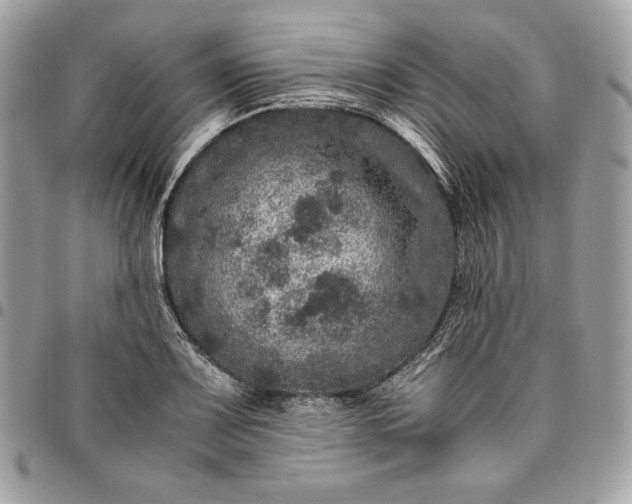 X0000096421083200802071657