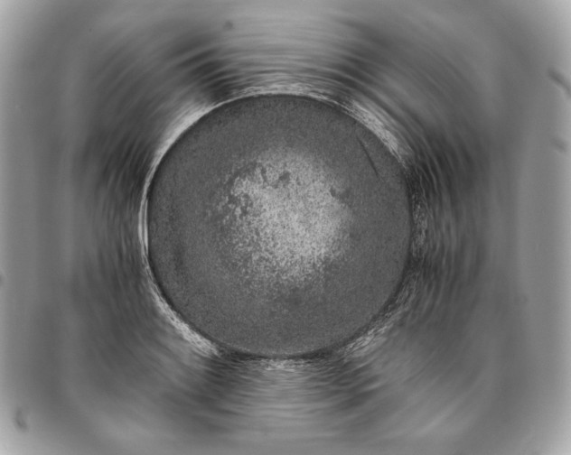 X0000096421084200802071657