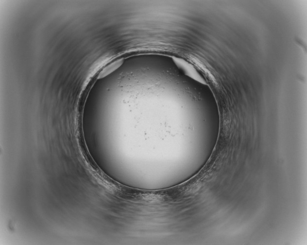 X0000096421085200802071657