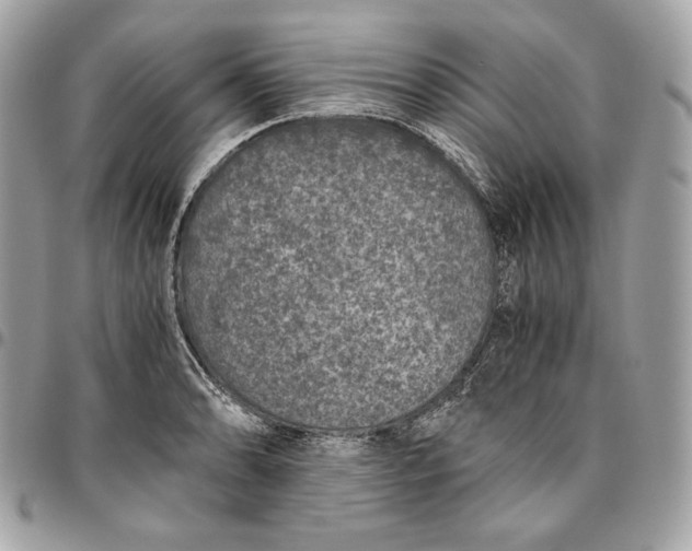 X0000096421086200802071657