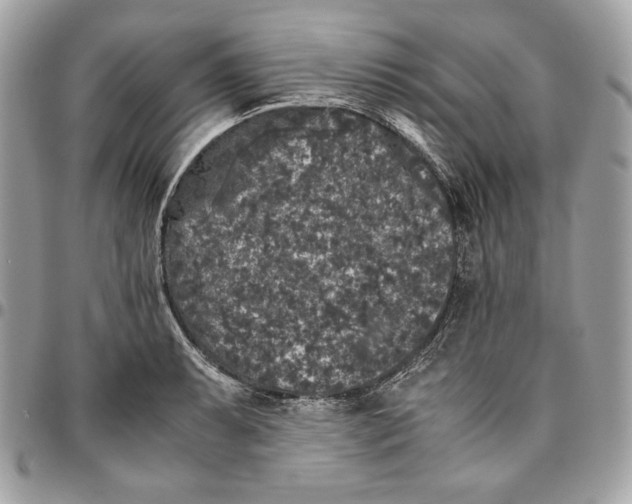 X0000096421087200802071657