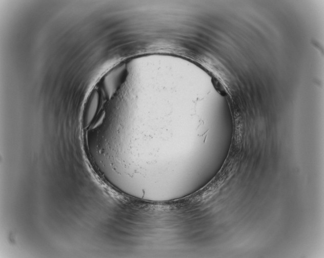 X0000096421088200802071657