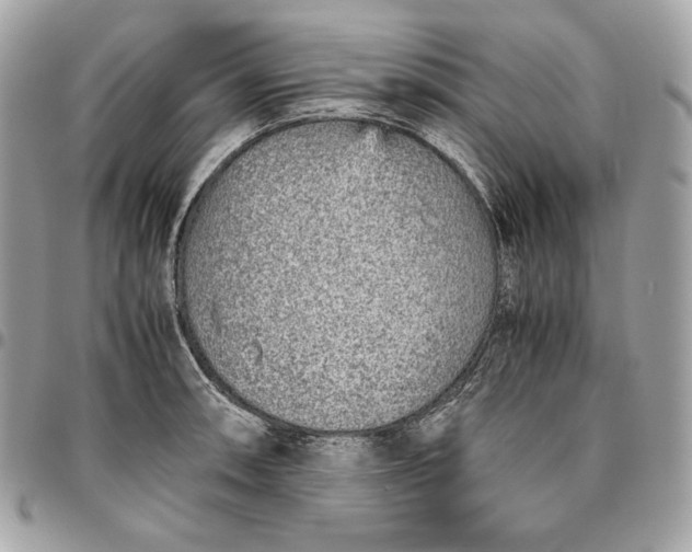 X0000096421090200802071657