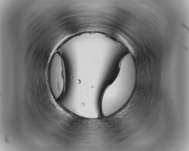 X0000096421092200802071657