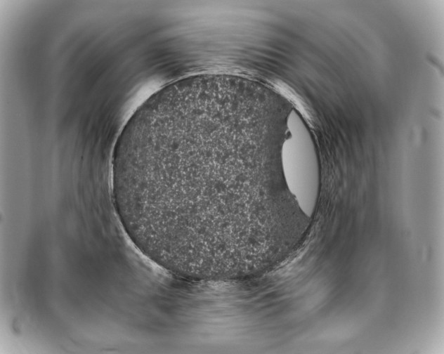 X0000096421095200802071657