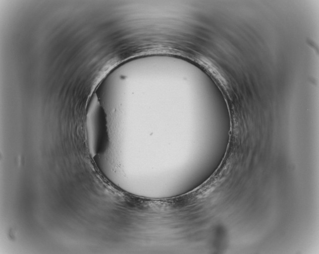 X0000096421097200802071657