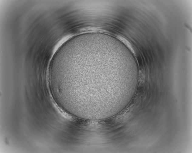 X0000096421098200802071657