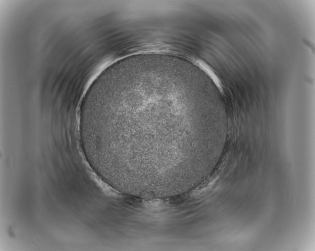 X0000096421099200802071657