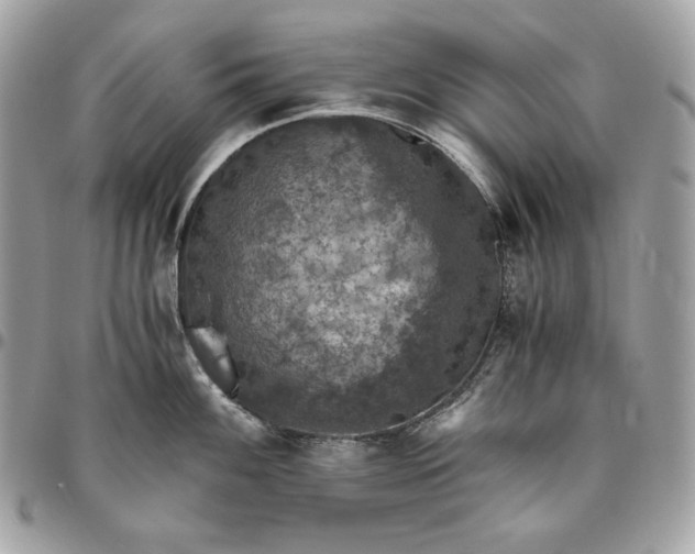 X0000096421100200802071657