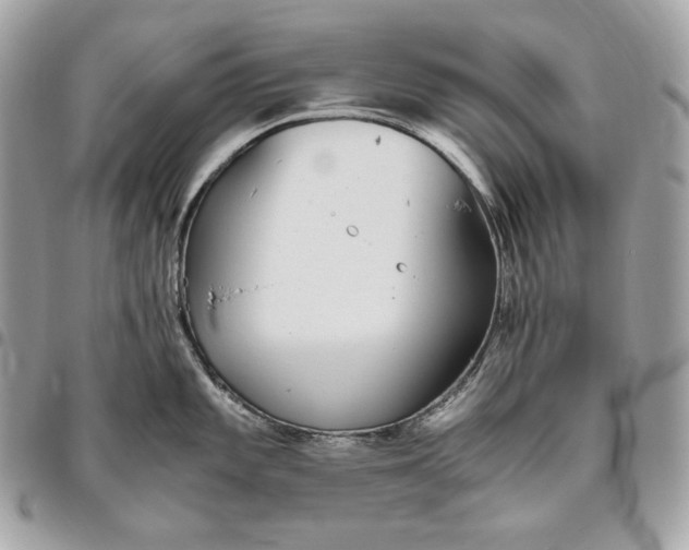 X0000096421101200802071657