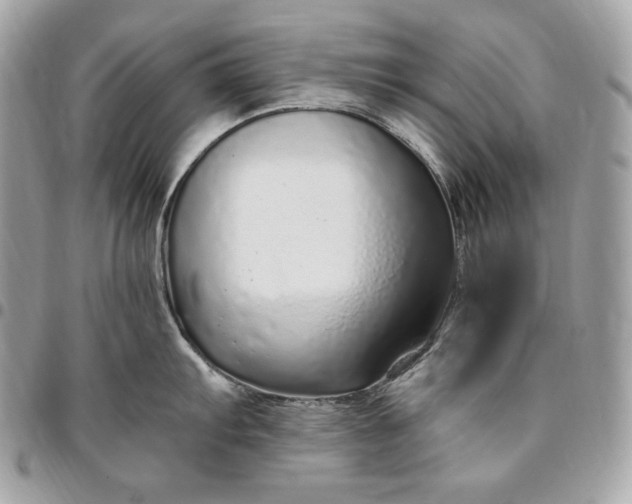 X0000096421103200802071657