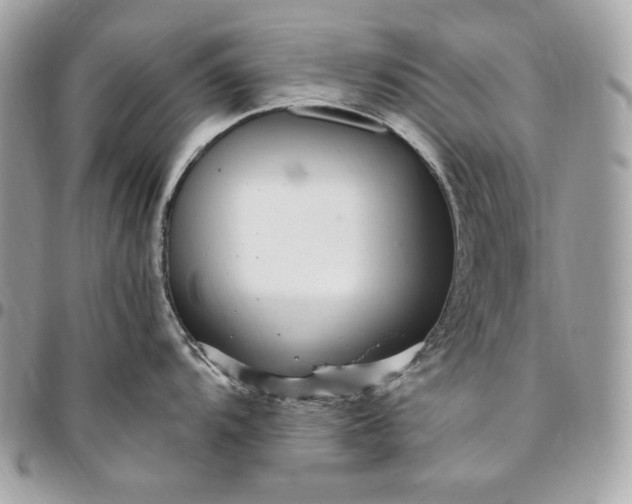 X0000096421104200802071657