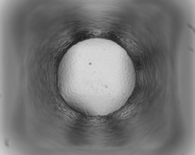 X0000096421105200802071656