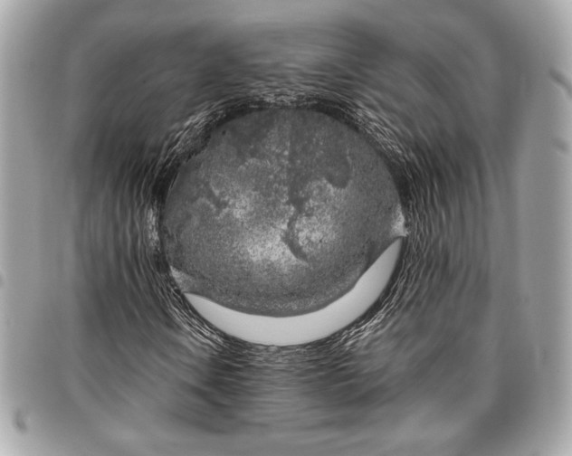 X0000096421106200802071656