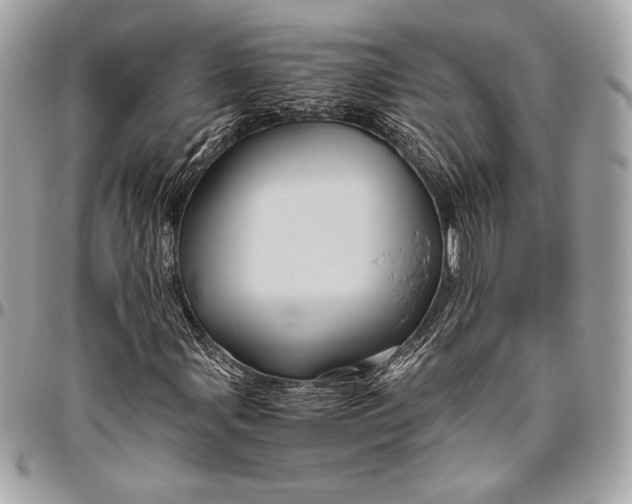 X0000096421107200802071656