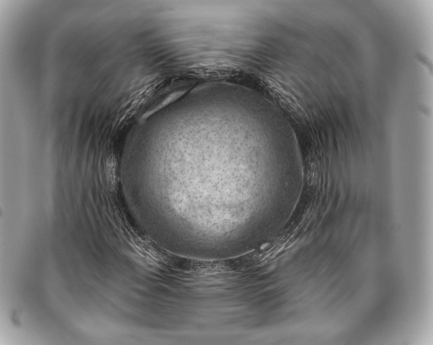 X0000096421108200802071656