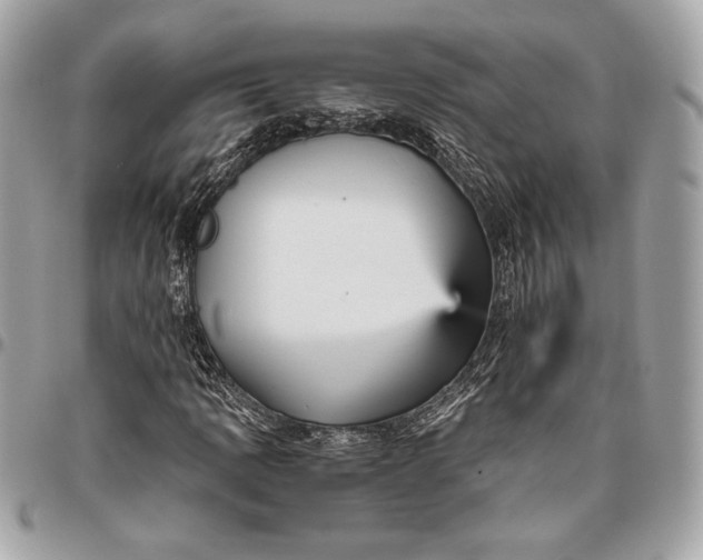 X0000096421109200802071656