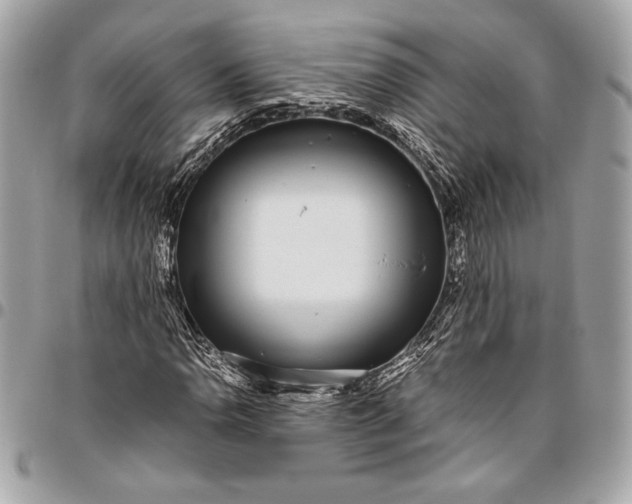 X0000096421110200802071656