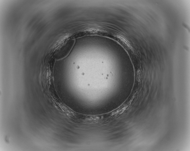 X0000096421111200802071656